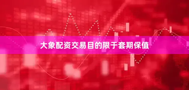 大象配资交易目的限于套期保值