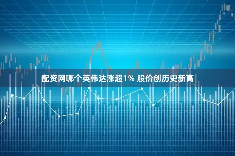 配资网哪个英伟达涨超1% 股价创历史新高