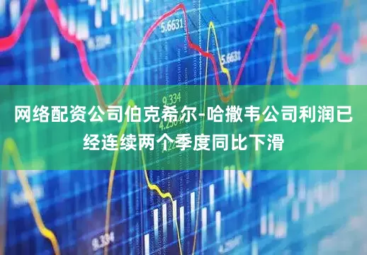网络配资公司伯克希尔-哈撒韦公司利润已经连续两个季度同比下滑