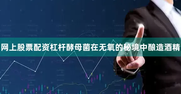 网上股票配资杠杆酵母菌在无氧的秘境中酿造酒精
