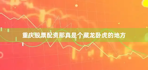 重庆股票配资那真是个藏龙卧虎的地方