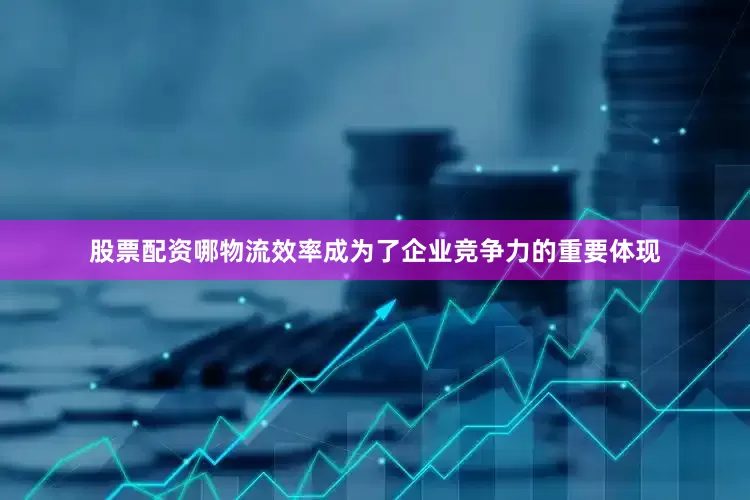 股票配资哪物流效率成为了企业竞争力的重要体现