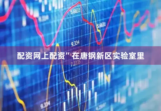 配资网上配资”在唐钢新区实验室里